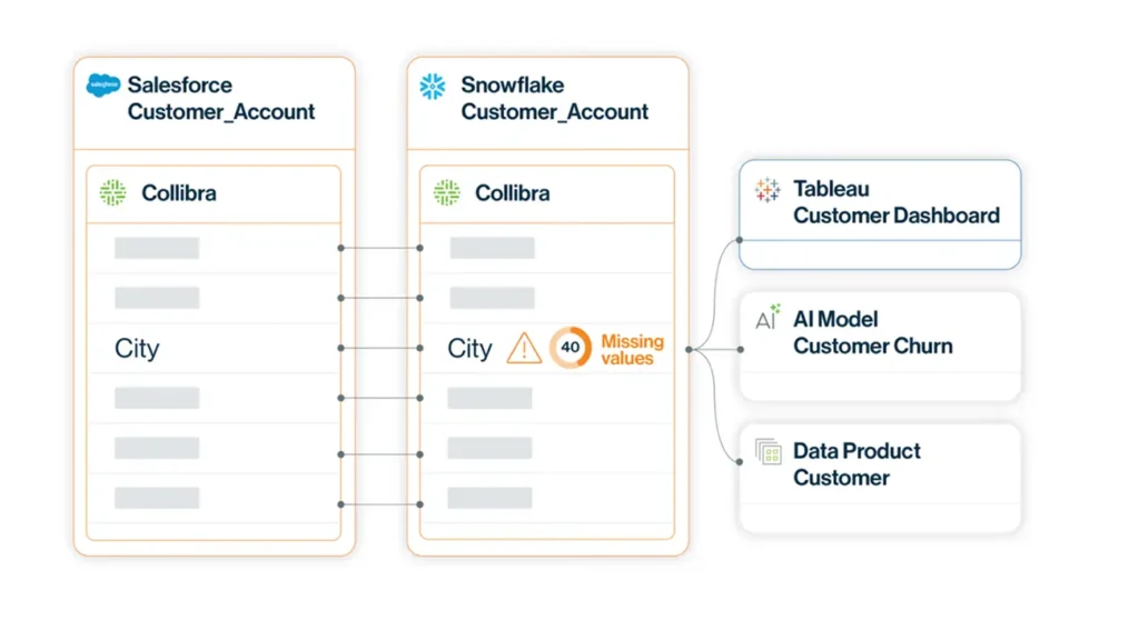 An image illustrating collibra data quality and observability