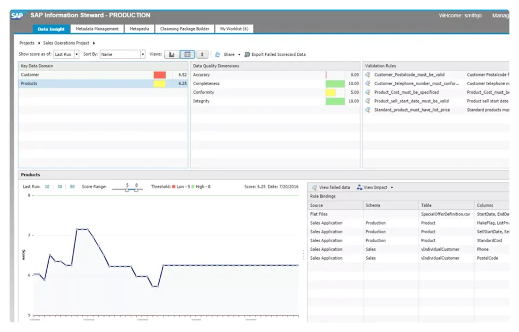 A screen shot of SAP Information Steward