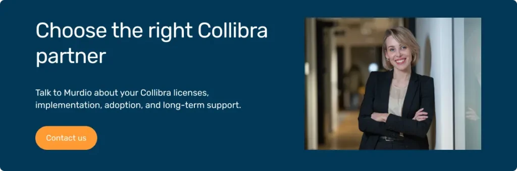 Collibra service partner consultant offering implementation and long-term support services